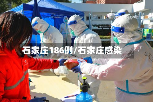 石家庄186例/石家庄感染