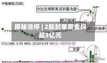 揭秘涨停 | 2股封单资金均超3亿元