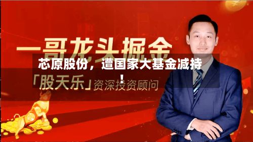 芯原股份，遭国家大基金减持！-第2张图片