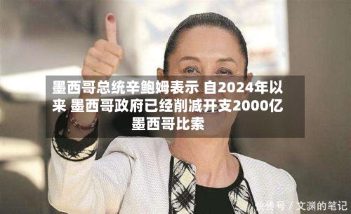 墨西哥总统辛鲍姆表示 自2024年以来 墨西哥政府已经削减开支2000亿墨西哥比索