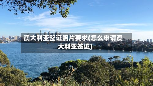 澳大利亚签证照片要求(怎么申请澳大利亚签证)-第2张图片