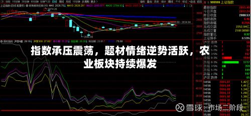 指数承压震荡，题材情绪逆势活跃	，农业板块持续爆发-第3张图片