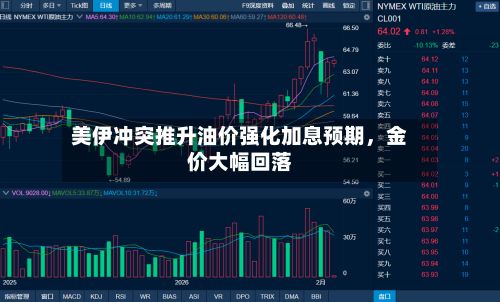 美伊冲突推升油价强化加息预期，金价大幅回落-第2张图片
