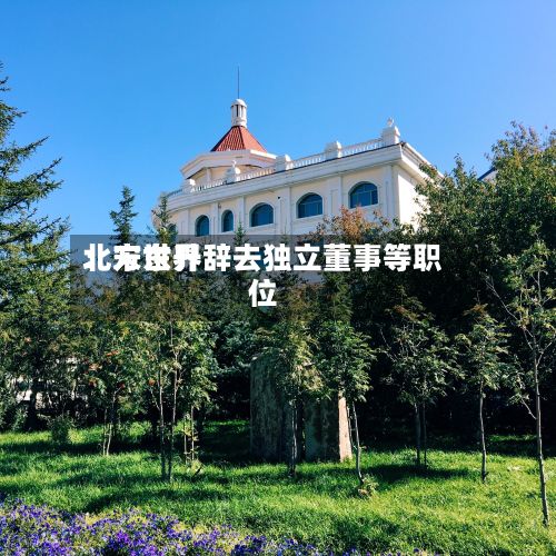 北方世界：宋东升辞去独立董事等职位-第2张图片
