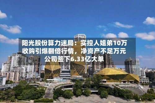阳光股份算力迷局：实控人姐弟10万收购引爆翻倍行情，净资产不足万元公司签下6.33亿大单-第2张图片
