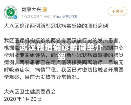 武汉新增确诊的简单介绍-第2张图片