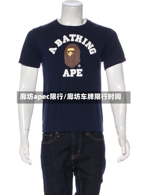 廊坊apec限行/廊坊车牌限行时间-第2张图片