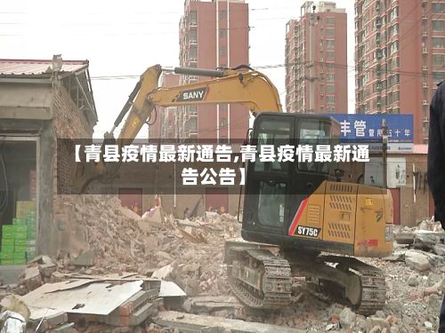 【青县疫情最新通告,青县疫情最新通告公告】-第2张图片