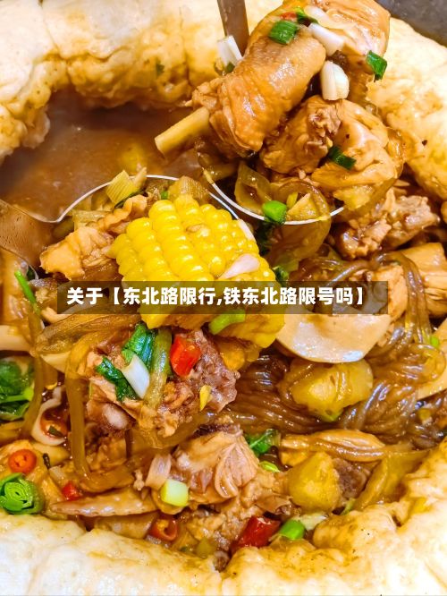 关于【东北路限行,铁东北路限号吗】