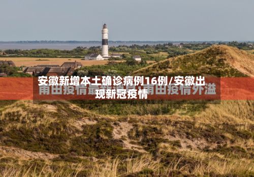 安徽新增本土确诊病例16例/安徽出现新冠疫情