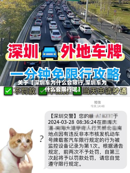 关于【深圳车为什么会限行,深圳车为什么会限行呢】-第2张图片