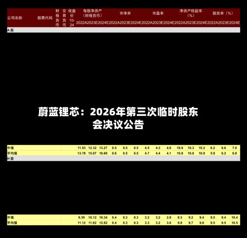 蔚蓝锂芯：2026年第三次临时股东会决议公告