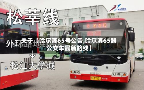 关于【哈尔滨65号公告,哈尔滨65路公交车最新路线】-第2张图片