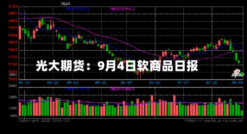 光大期货：9月4日软商品日报-第2张图片