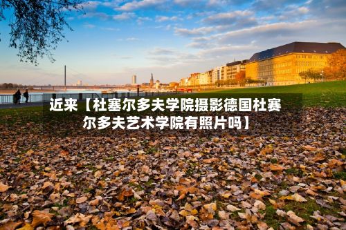 近来【杜塞尔多夫学院摄影德国杜赛尔多夫艺术学院有照片吗】-第3张图片