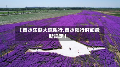 【衡水东湖大道限行,衡水限行时间最新规定】