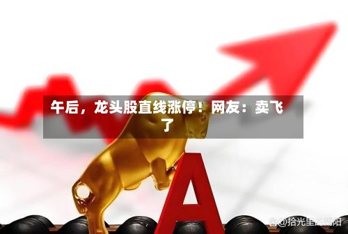 午后，龙头股直线涨停！网友：卖飞了-第2张图片