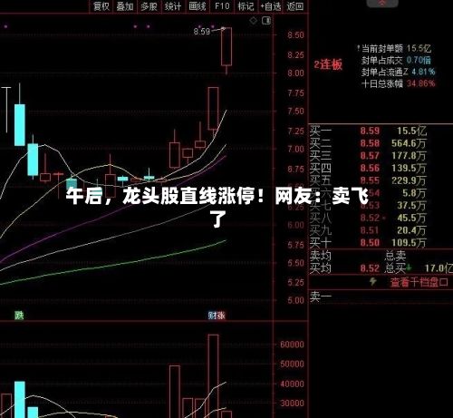 午后，龙头股直线涨停！网友：卖飞了