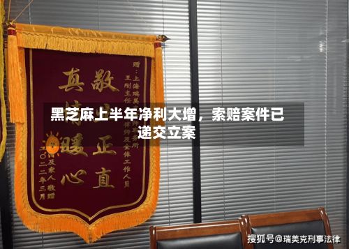 黑芝麻上半年净利大增，索赔案件已递交立案-第2张图片