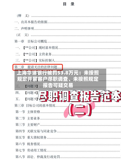 上海华瑞银行被罚53.8万元：未按照规定开展客户尽职调查、未按照规定报告可疑交易-第2张图片