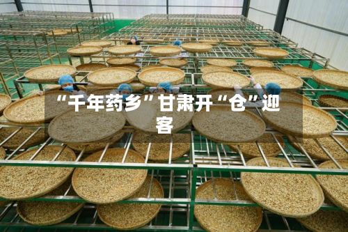 “千年药乡	”甘肃开“仓”迎客-第2张图片