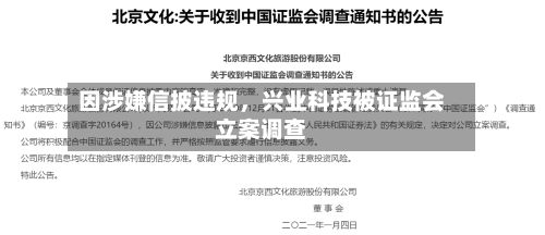 因涉嫌信披违规	，兴业科技被证监会立案调查-第3张图片