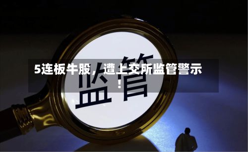 5连板牛股，遭上交所监管警示！-第2张图片