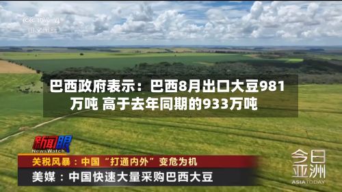 巴西政府表示：巴西8月出口大豆981万吨 高于去年同期的933万吨-第2张图片