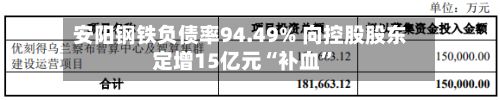 安阳钢铁负债率94.49% 向控股股东定增15亿元“补血”-第3张图片