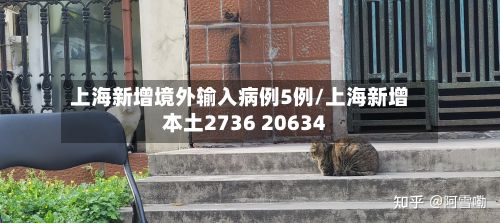 上海新增境外输入病例5例/上海新增本土2736 20634-第3张图片