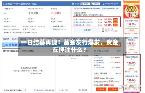 一日结募再现！基金发行爆发，资金在押注什么？