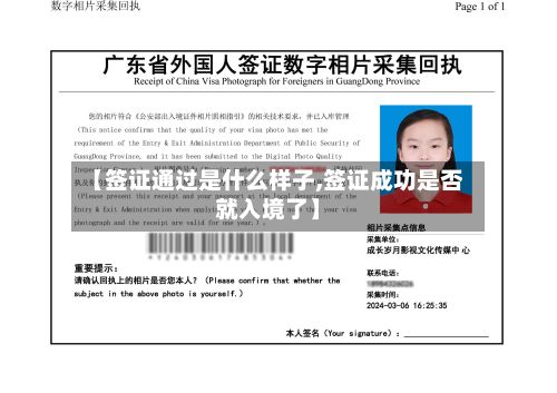 【签证通过是什么样子,签证成功是否就入境了】