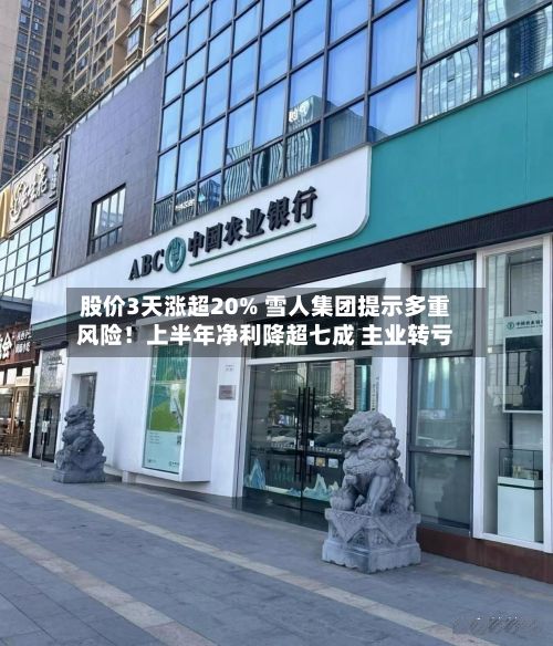 股价3天涨超20% 雪人集团提示多重风险！上半年净利降超七成 主业转亏