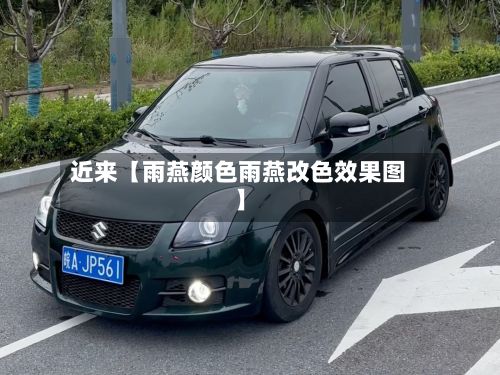 近来【雨燕颜色雨燕改色效果图】