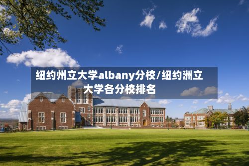 纽约州立大学albany分校/纽约洲立大学各分校排名