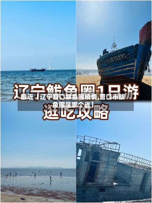 最近【辽宁营口鲅鱼圈疫情,营口市鲅鱼圈是哪个省】