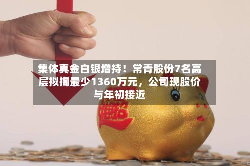 集体真金白银增持！常青股份7名高层拟掏最少1360万元，公司现股价与年初接近-第2张图片