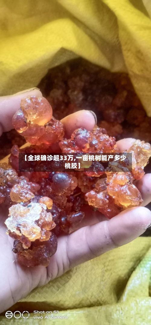 【全球确诊超33万,一亩桃树能产多少桃胶】