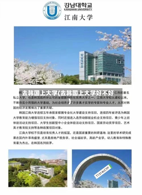 去韩国上大学(去韩国上大学好不好)-第3张图片