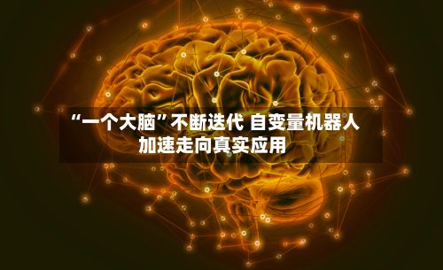 “一个大脑”不断迭代 自变量机器人加速走向真实应用-第2张图片