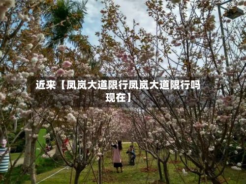 近来【凤岚大道限行凤岚大道限行吗现在】