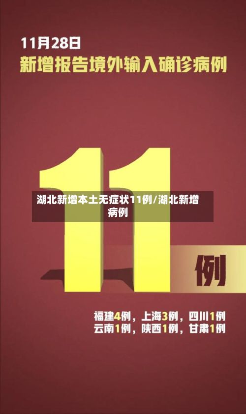湖北新增本土无症状11例/湖北新增病例-第2张图片