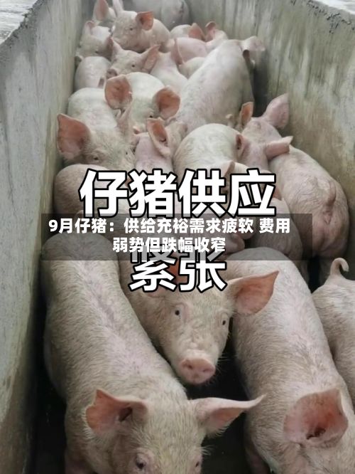 9月仔猪：供给充裕需求疲软 费用弱势但跌幅收窄-第3张图片