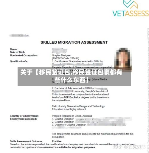 关于【移民签证包,移民签证包裹都有些什么东西】-第2张图片