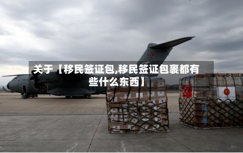 关于【移民签证包,移民签证包裹都有些什么东西】-第3张图片