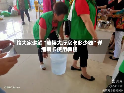 给大家讲解“流樱大厅房卡多少钱”详细房卡使用教程-第2张图片
