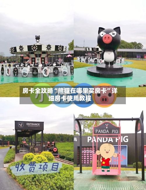 房卡全攻略“熊猫在哪里买房卡”详细房卡使用教程-第2张图片