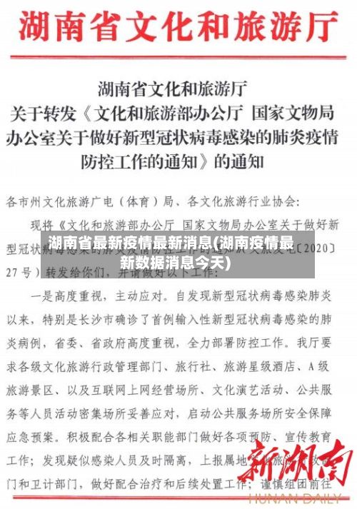 湖南省最新疫情最新消息(湖南疫情最新数据消息今天)-第2张图片