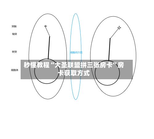 秒懂教程“大圣联盟拼三张房卡”房卡获取方式-第2张图片