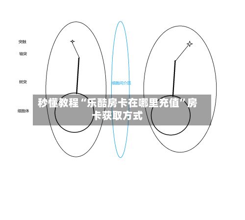秒懂教程“乐酷房卡在哪里充值”房卡获取方式-第2张图片